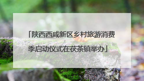 陕西西咸新区乡村旅游消费季启动仪式在茯茶镇举办